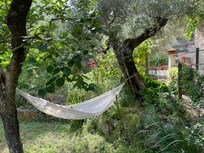 Hängematte zwischen Olivenbäumen