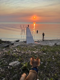 On the beach of the property