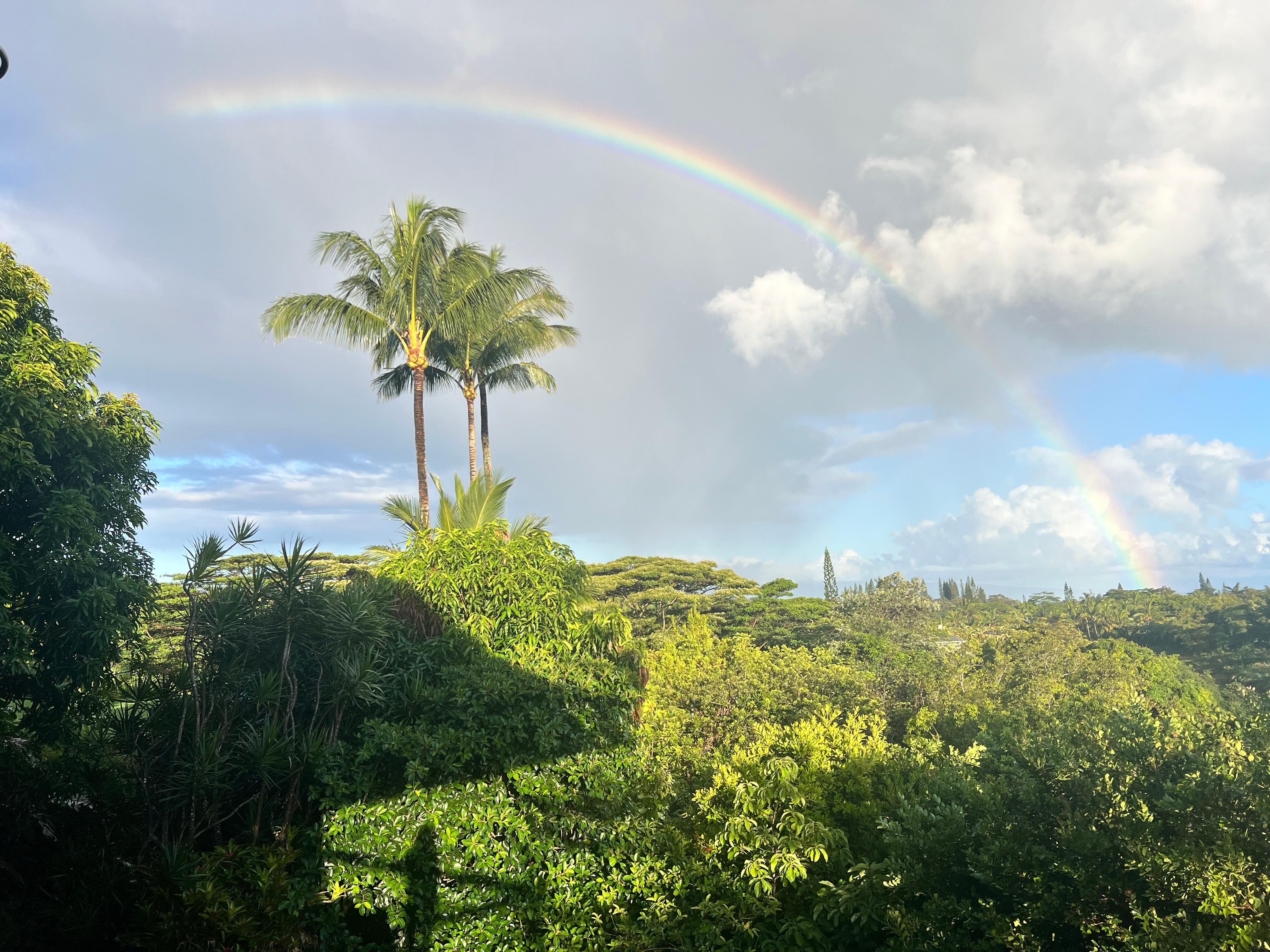 Rainbow from the back porch