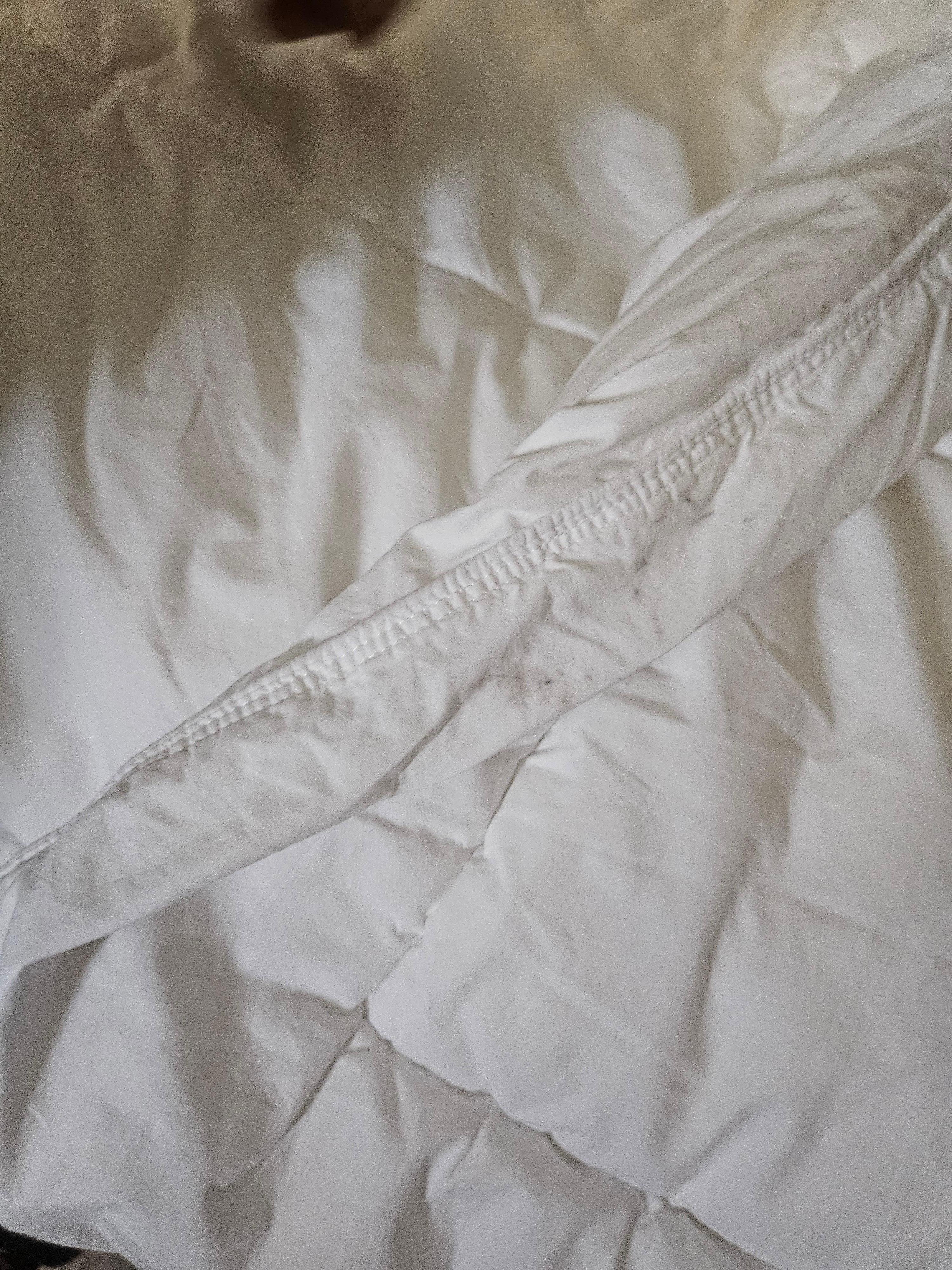 Mold on our comforter
