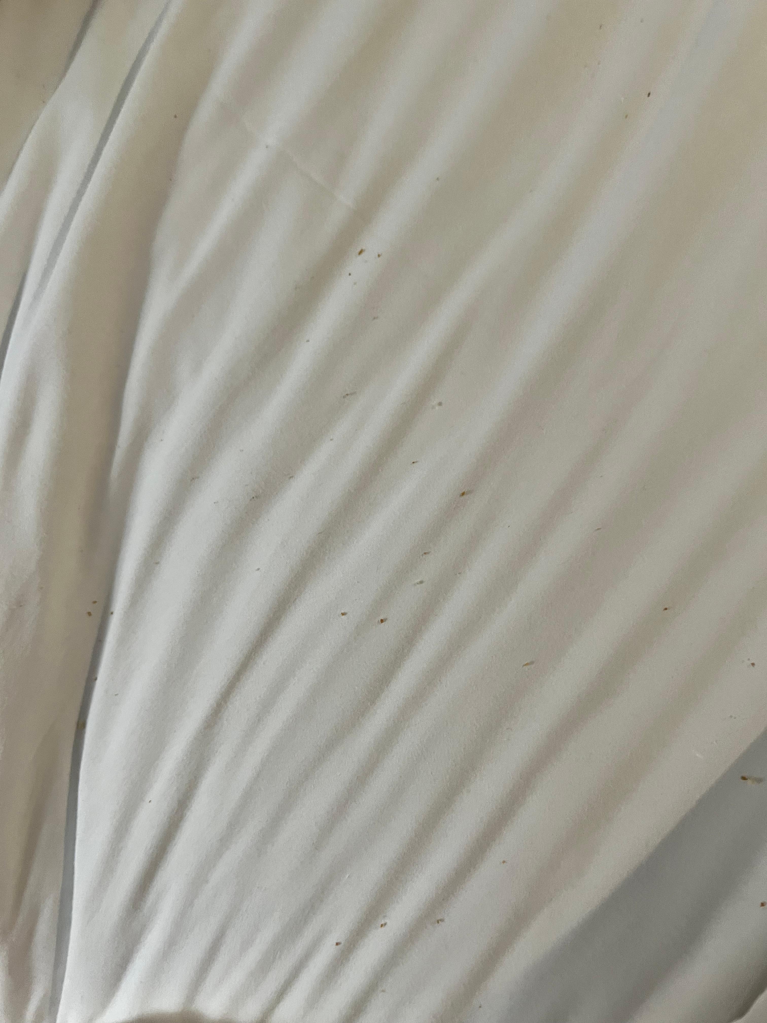 I had pulled the blankets up to get into bed and saw this. Celled up front and ask for clean sheets. Plug ins also did not work well kept falling out of the sockets.