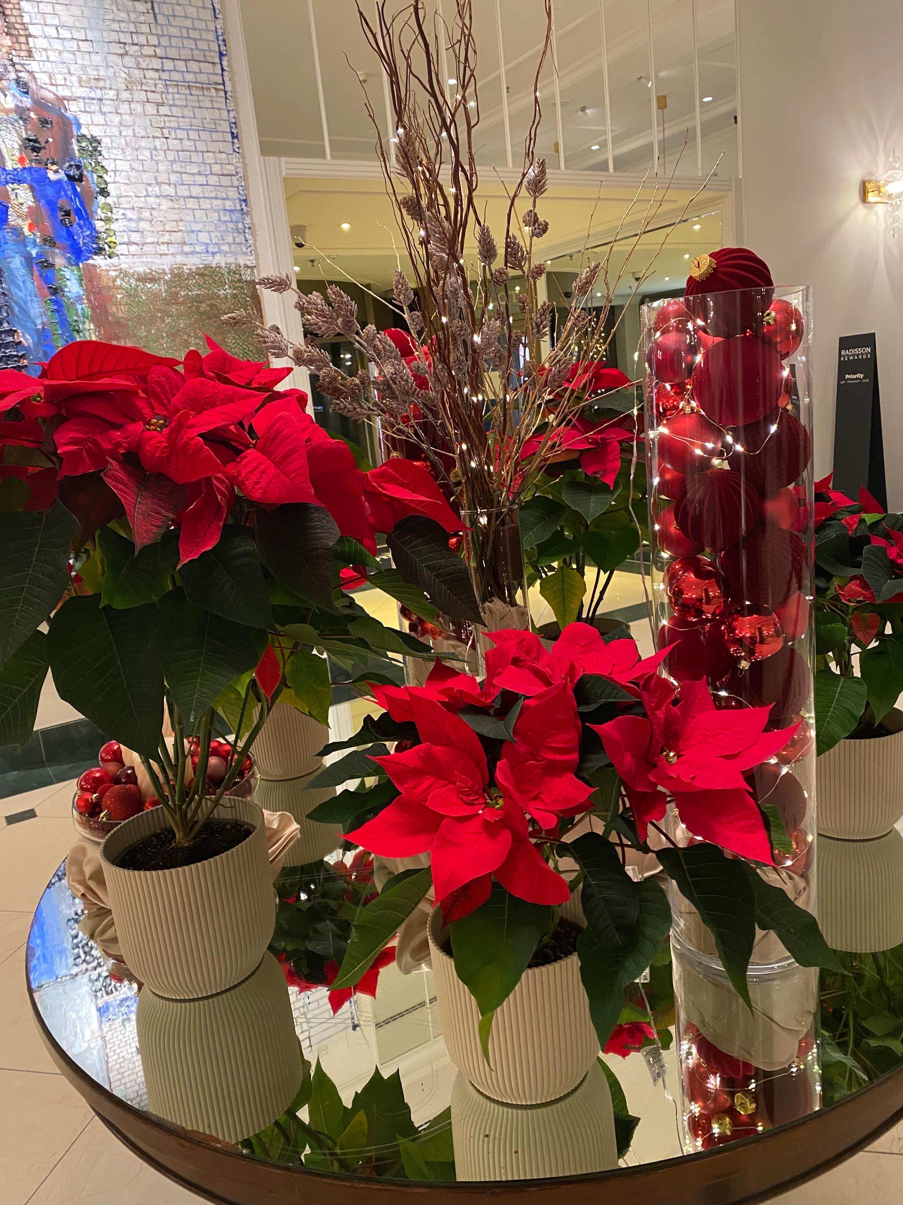Christmas flowers in reception 