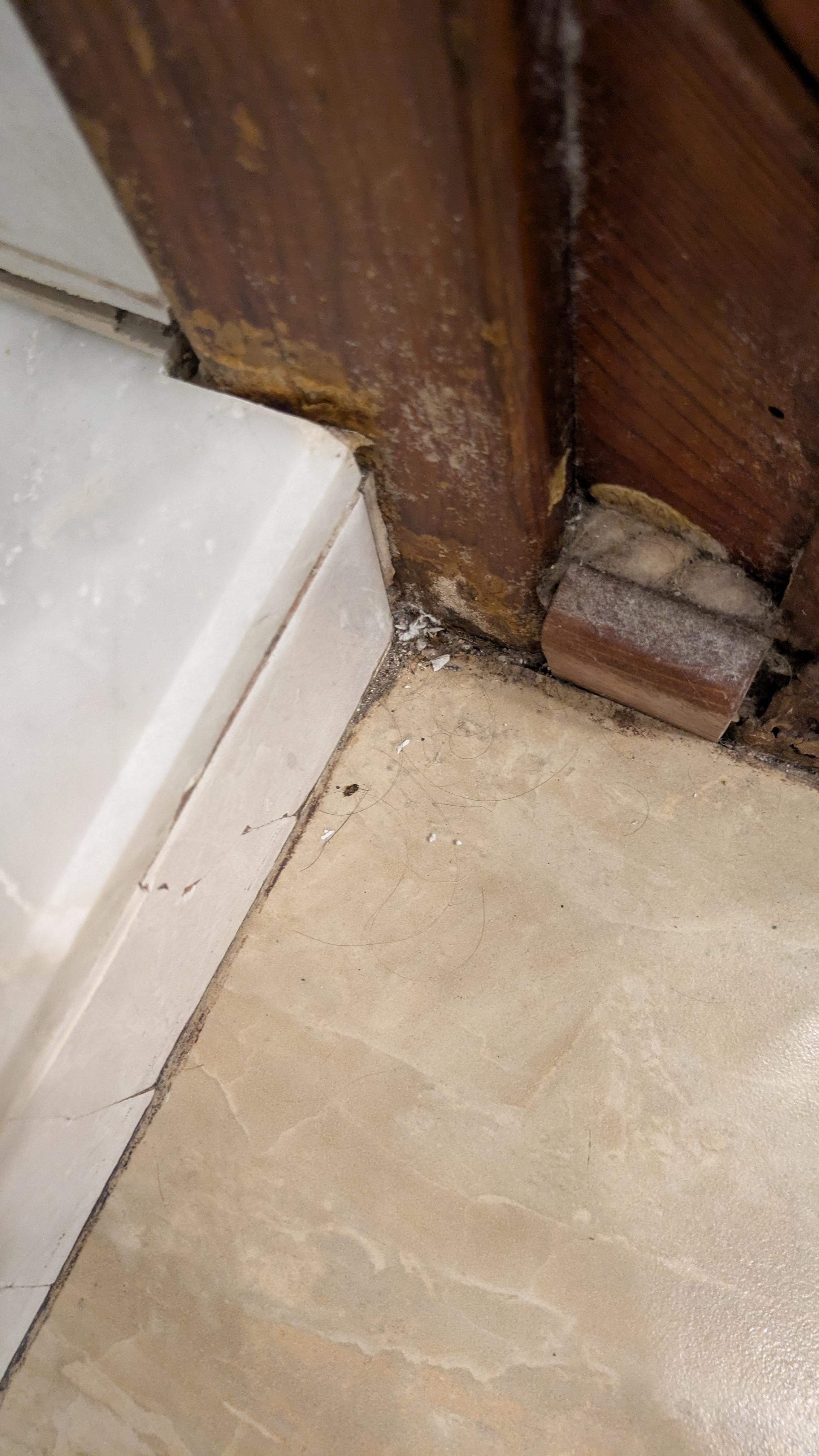 Bathroom floor near shower when I first arrived. 