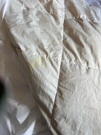 This was the comforter in my room