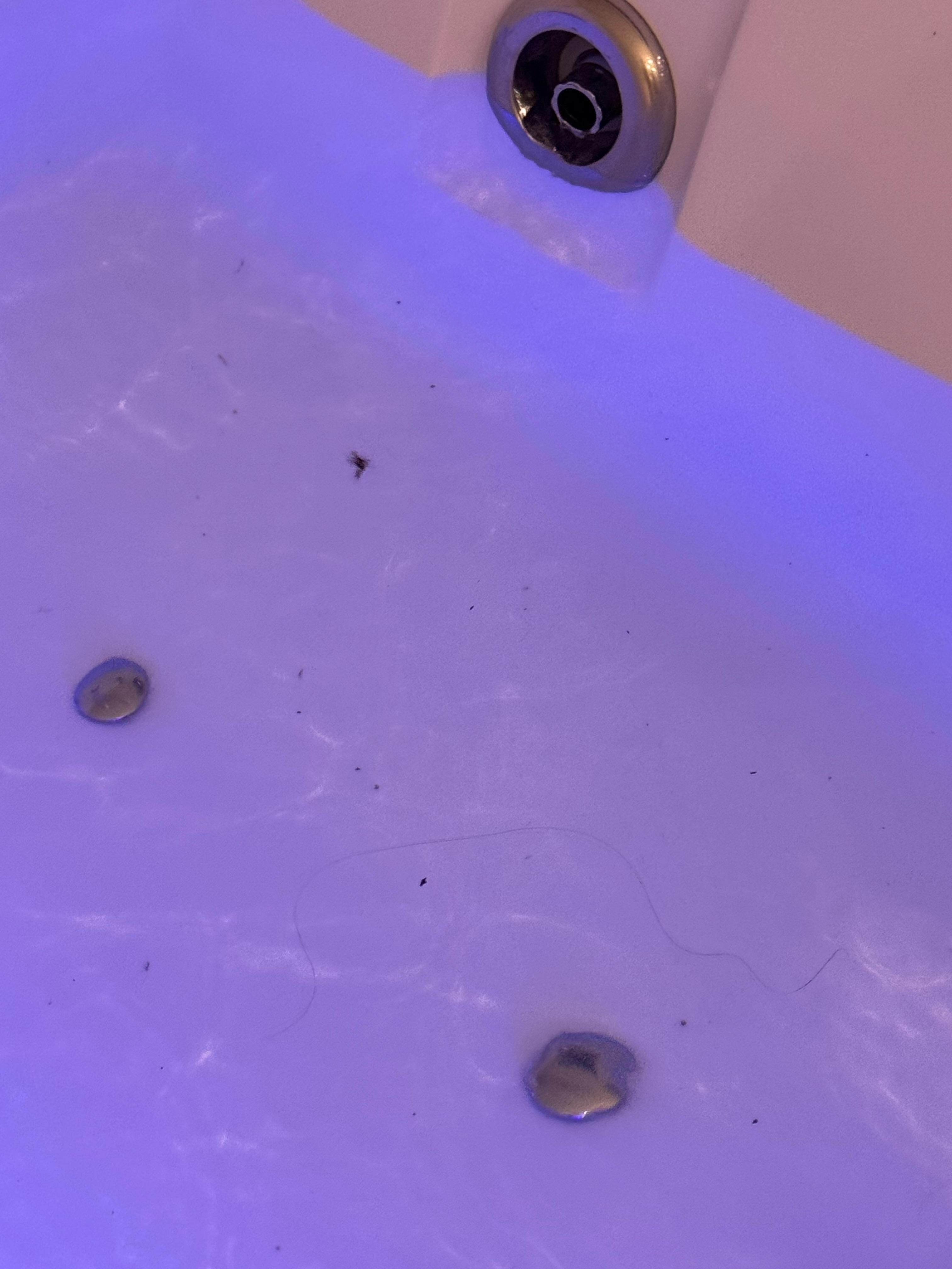 More floating mold