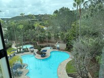 Amazing pool view
