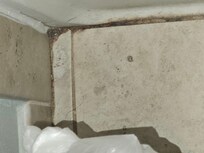 Mold around the tube/ shower