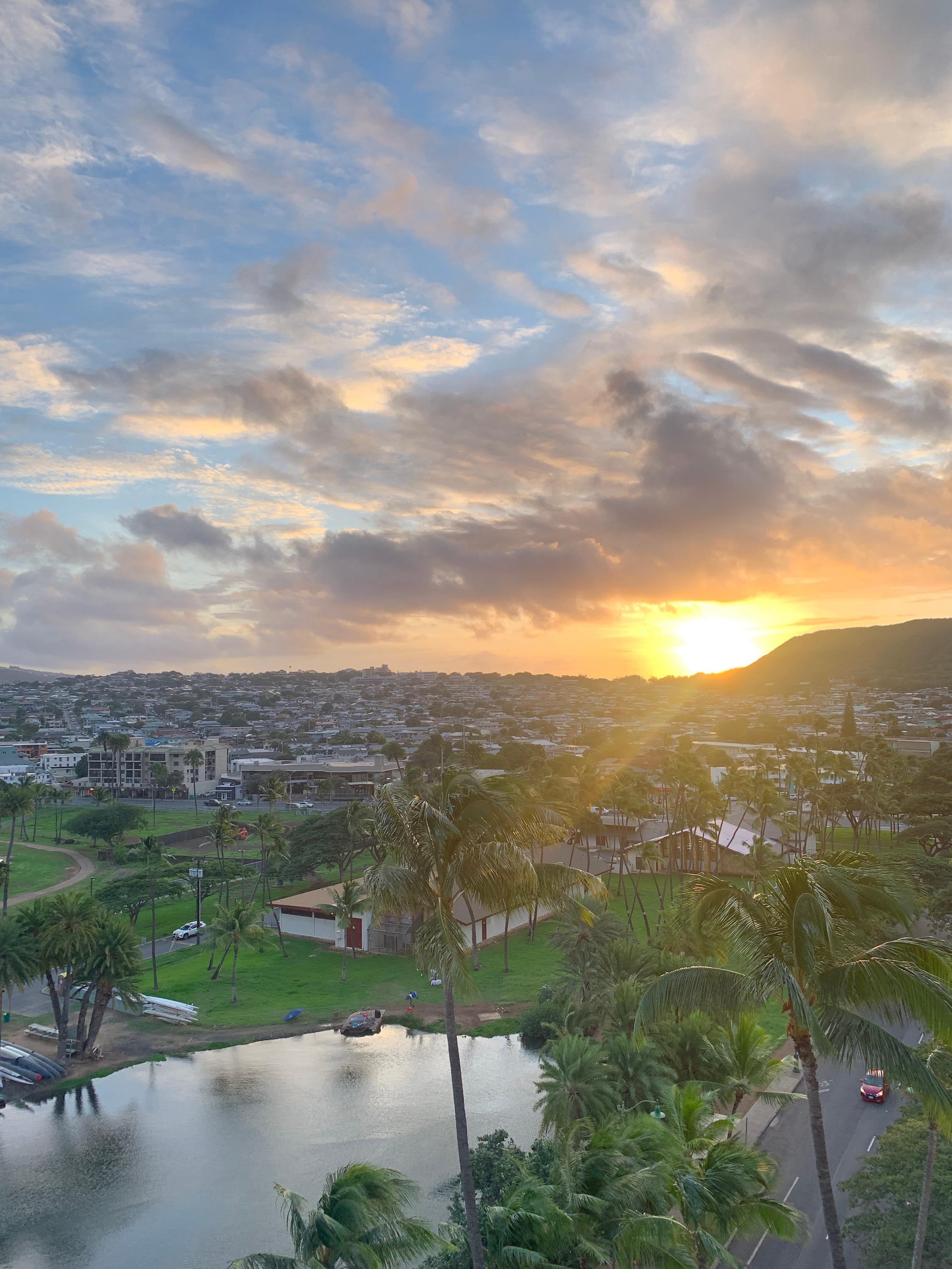 Typical morning view! 