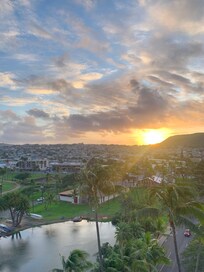 Typical morning view!