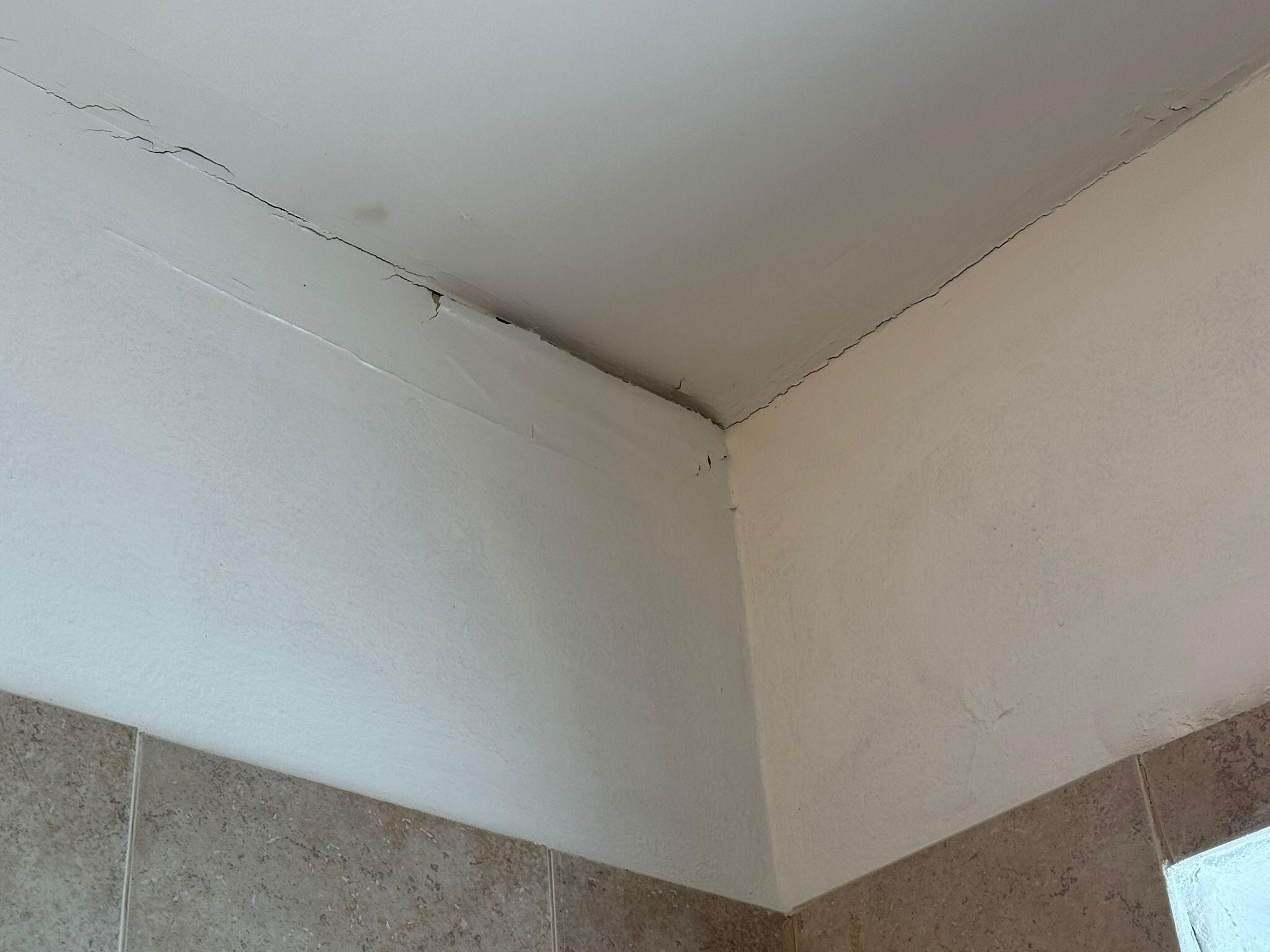 Mildew in shower 