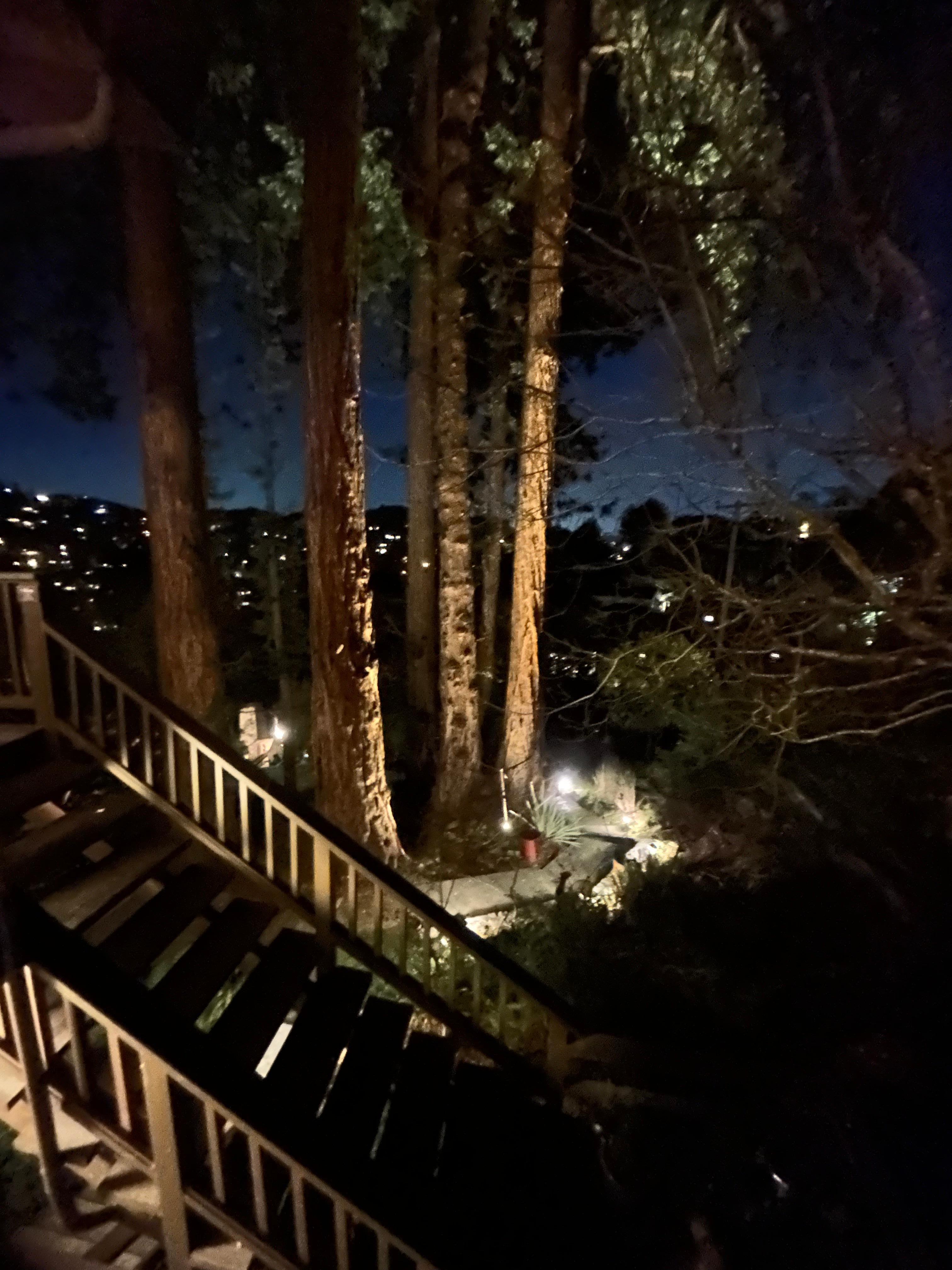 Beautiful redwoods at night. Magical! 