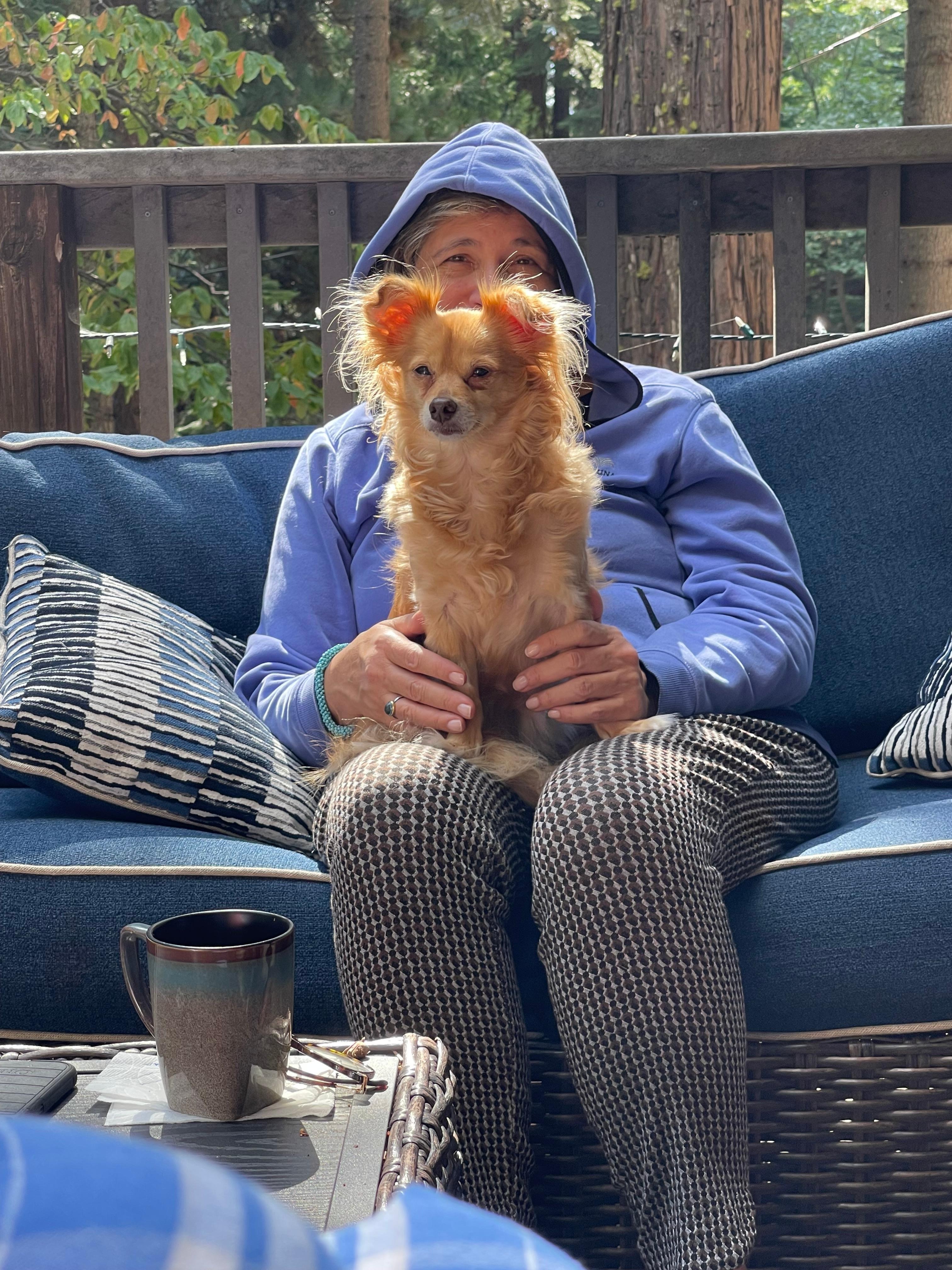 Relaxing for humans and doggies.