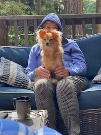 Relaxing for humans and doggies.