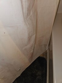 Mold on shower curtain 1