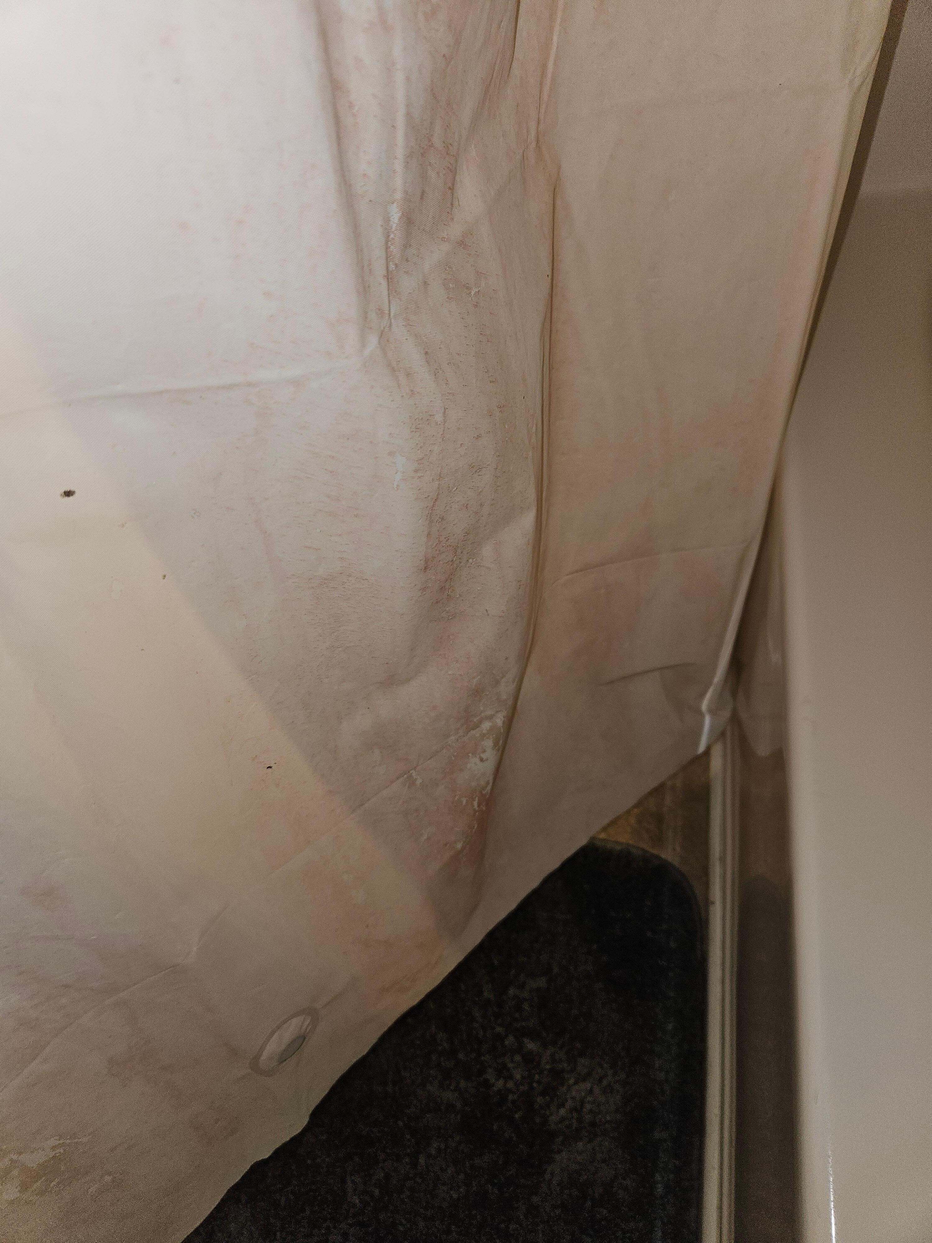 Mold on shower curtain 1