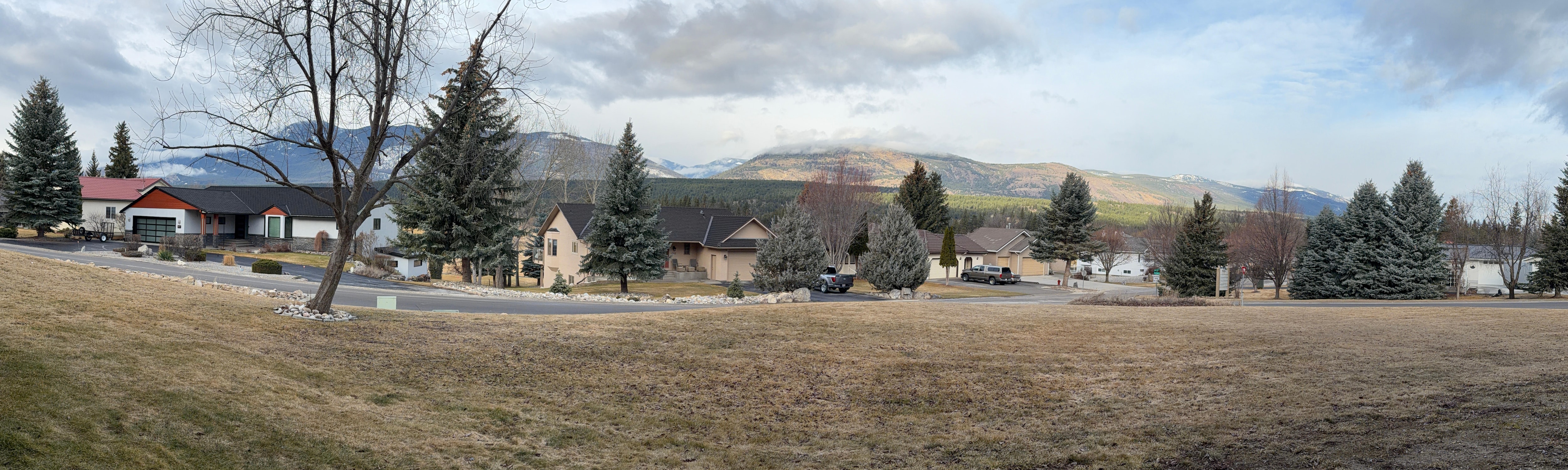 Panoramic view out the back door.
