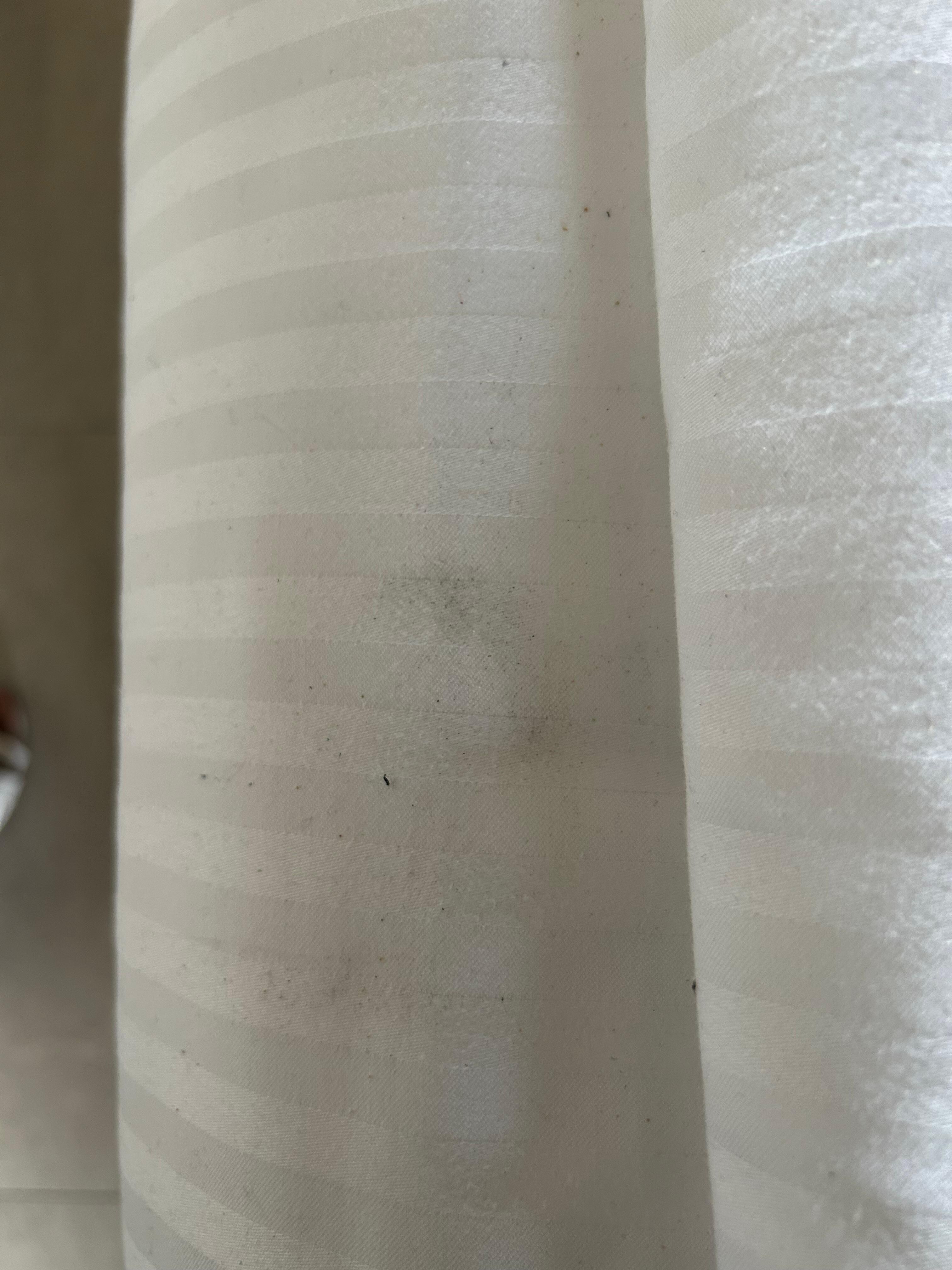 Mold on curtains 