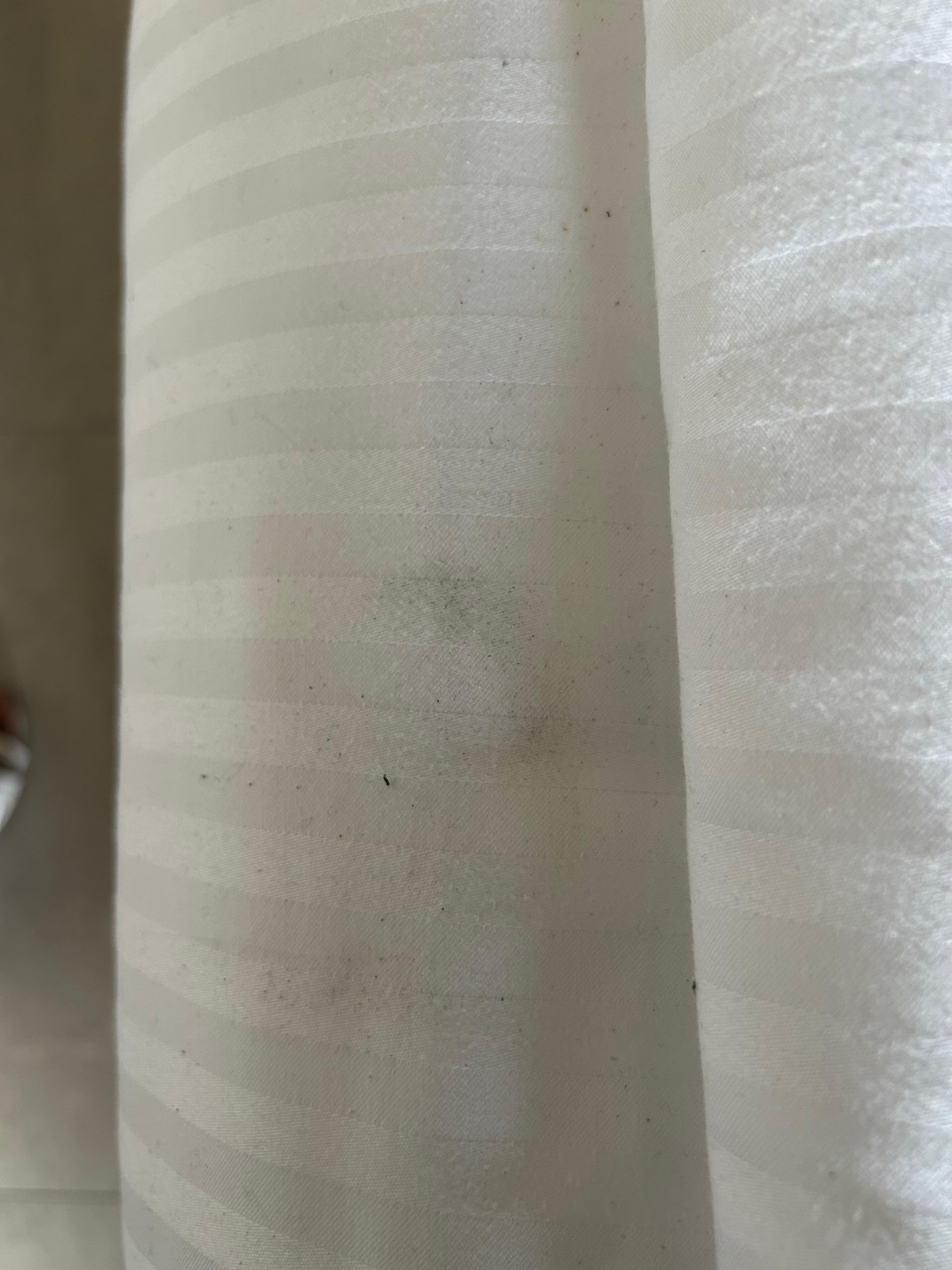 Mold on curtains