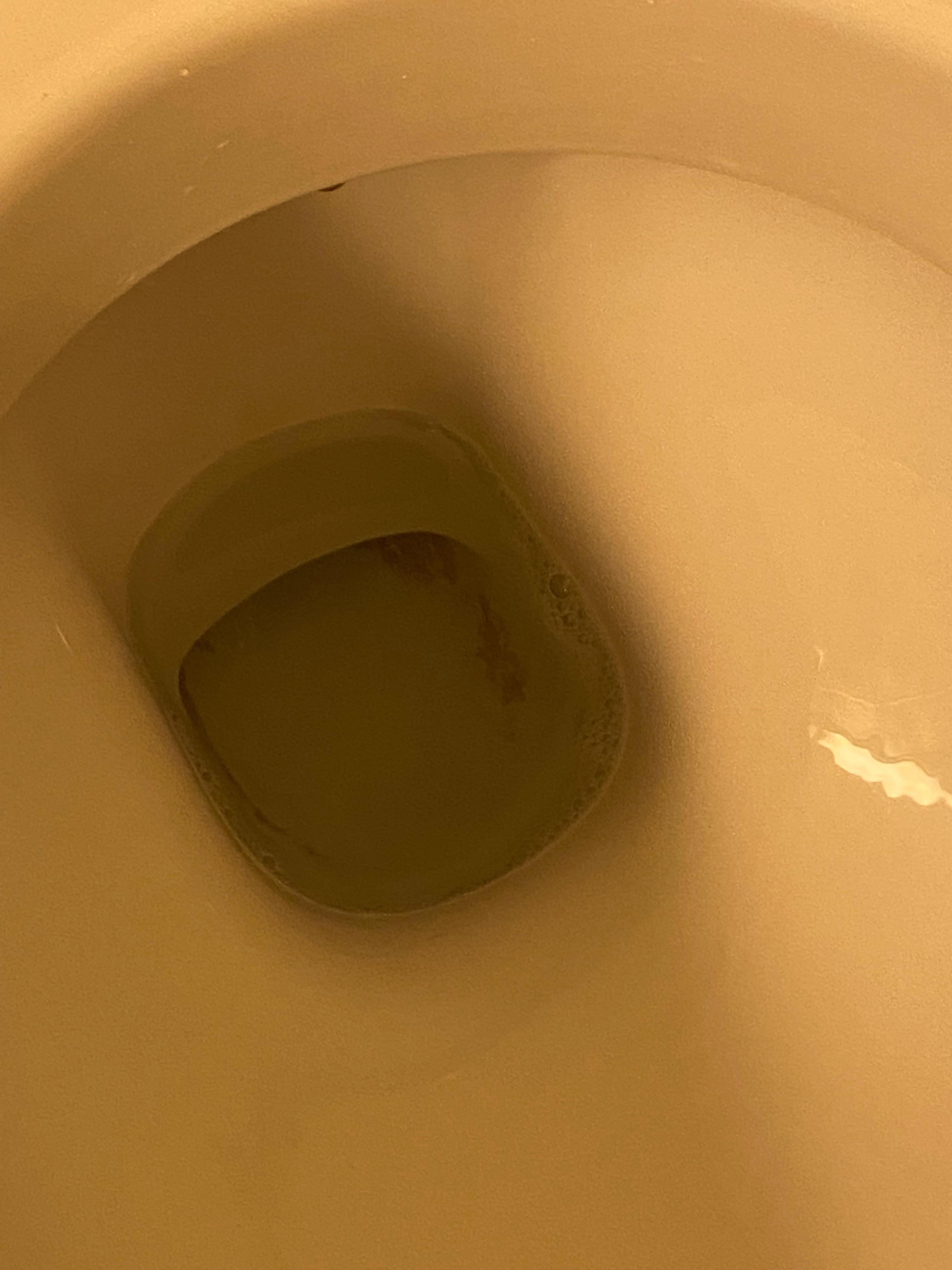 Toilet not cleaned