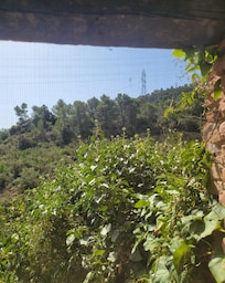 Vistas hermosas y agradables.