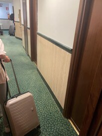 Different carpets depending on the floor may mean that they started a renewal but didnt finish.