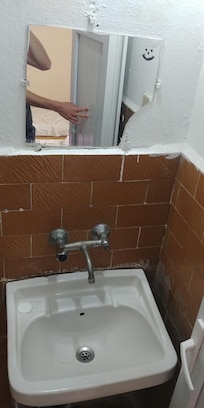 bathroom; sink & mirror