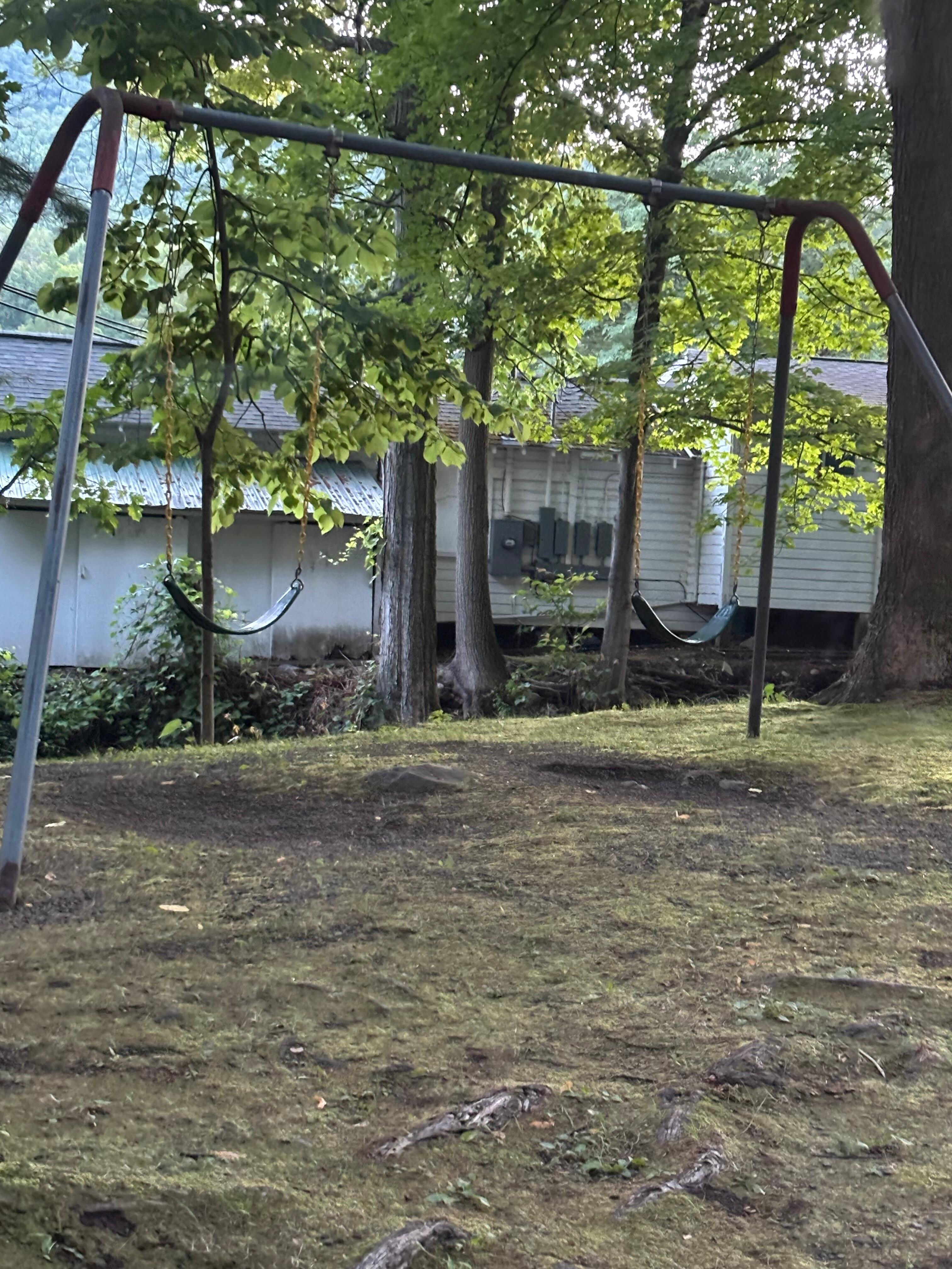 A swingset by the brook