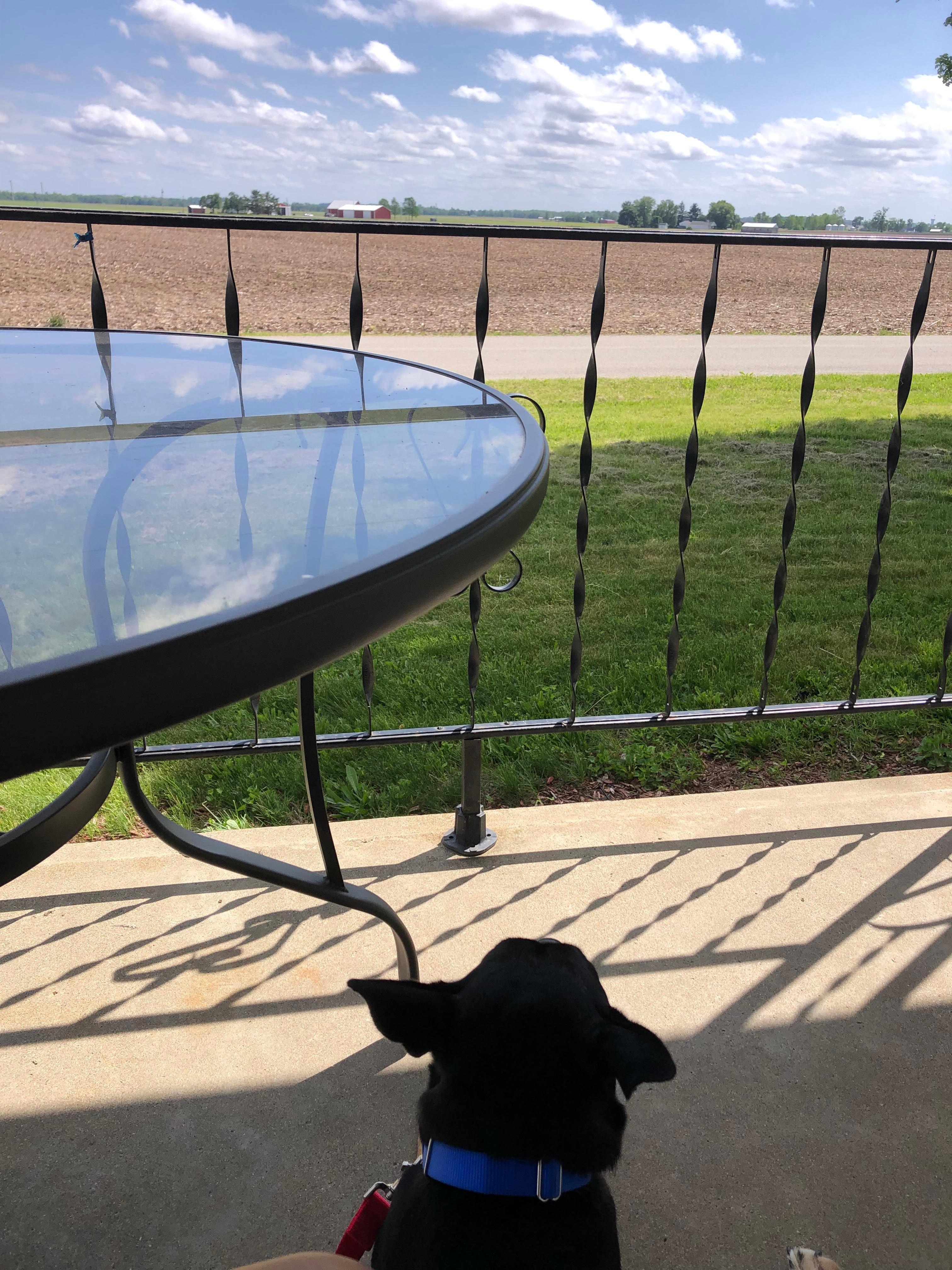 Front porch