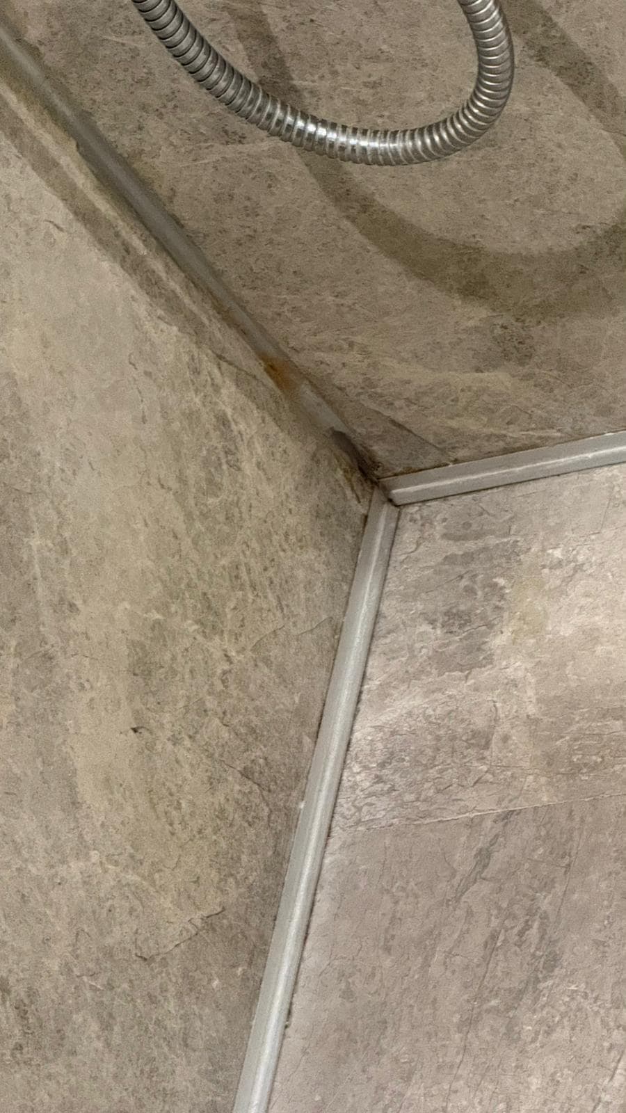 More mold in the shower