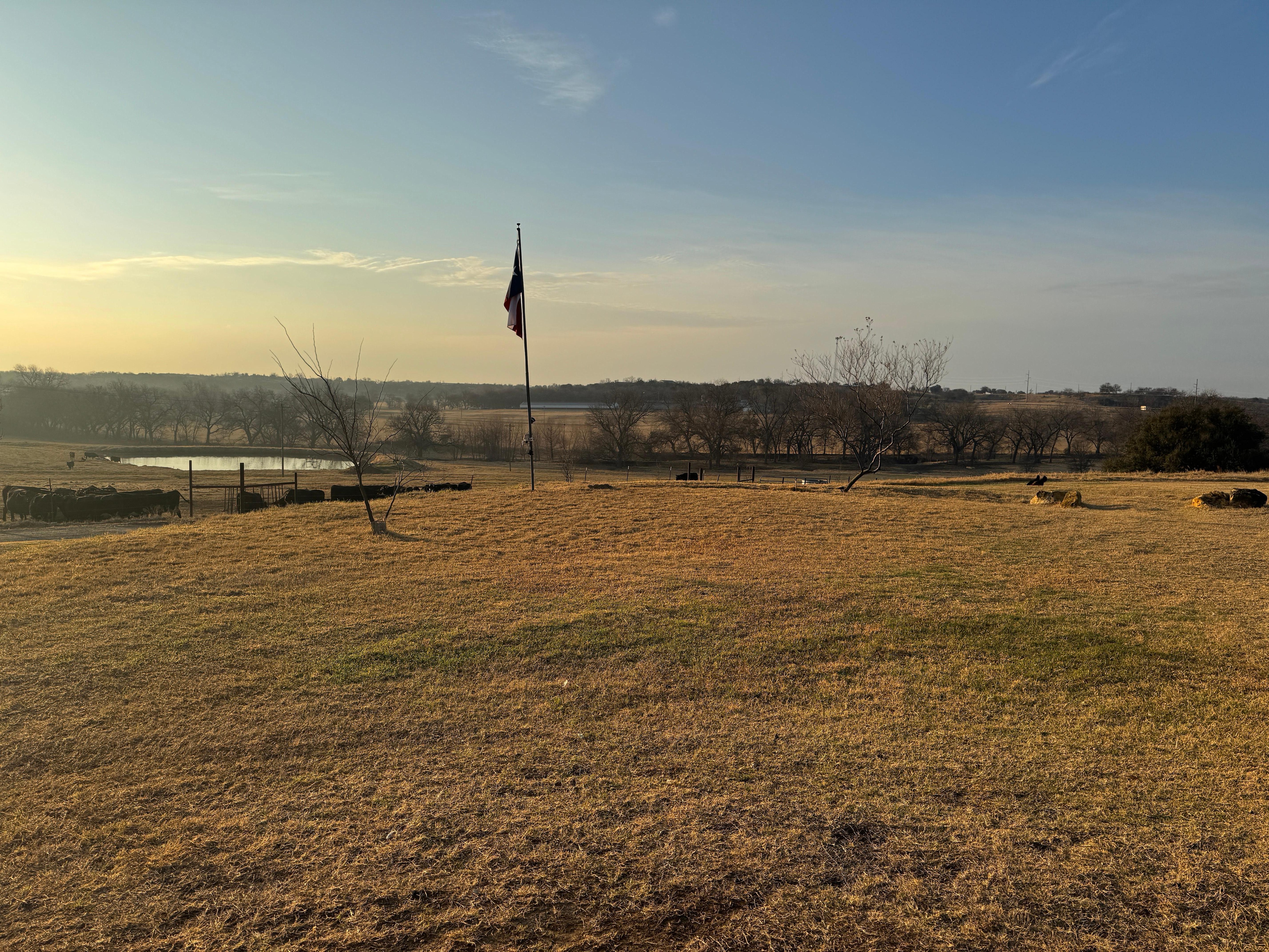 View from the front porch 