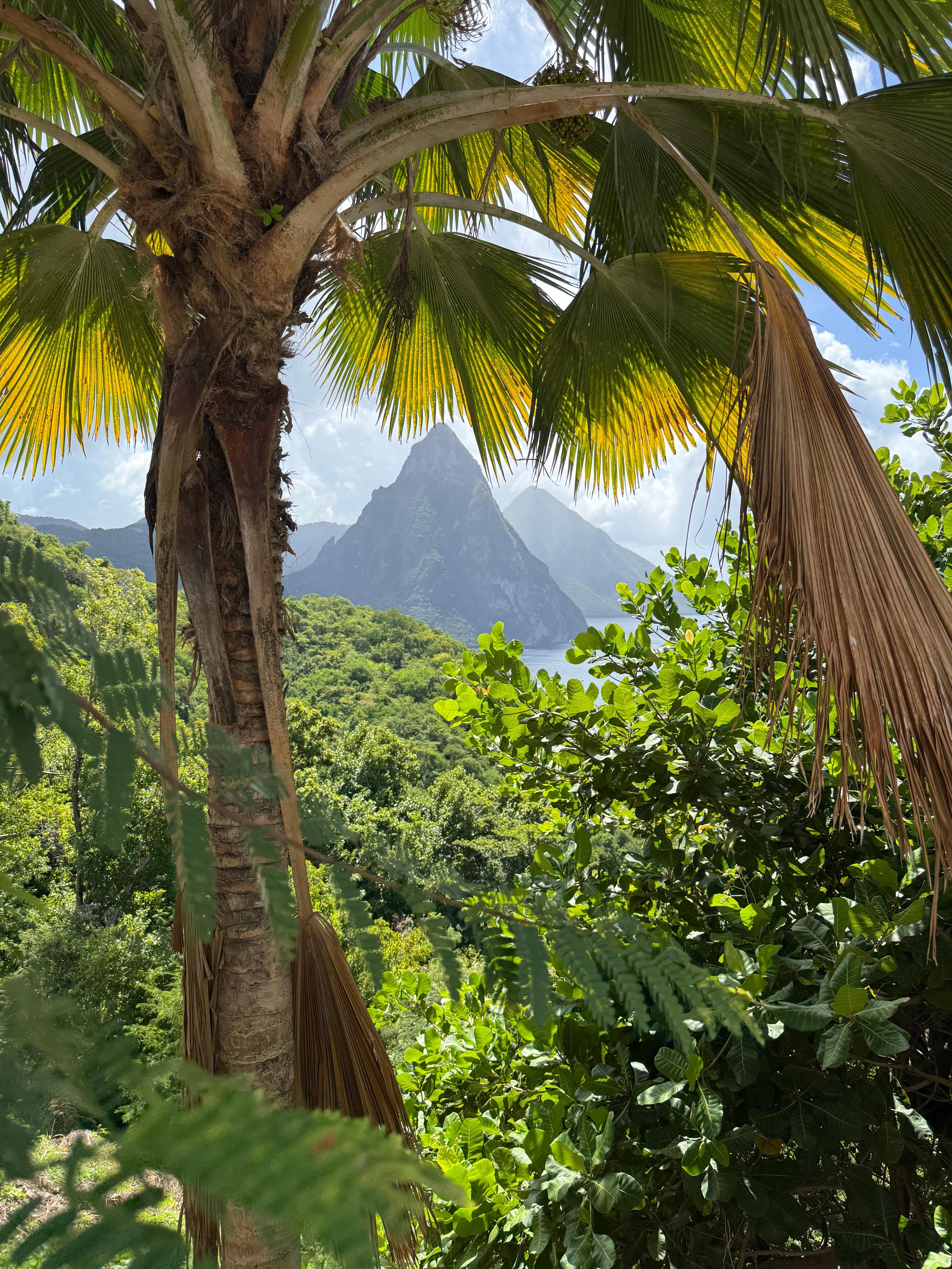 View from the driveway