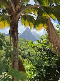 View from the driveway