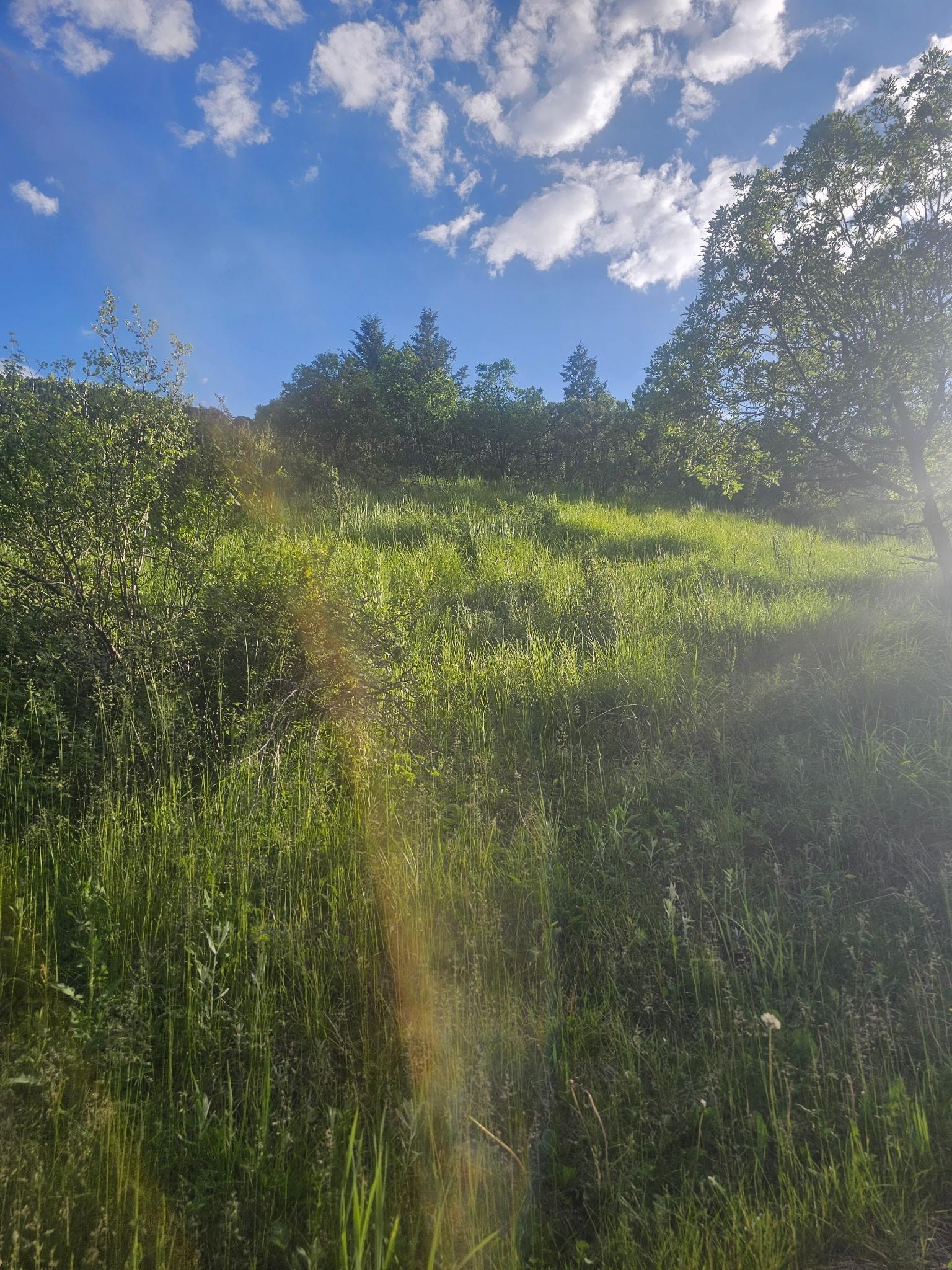 Watching the sunset from cabin