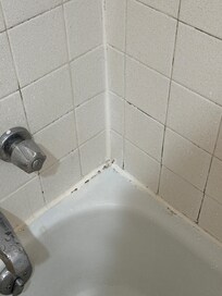 Black mold on floor and shower surround