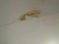 Water and mold damages in the sealing