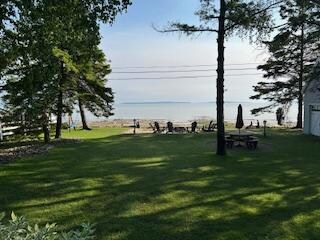 Looking out my back door...