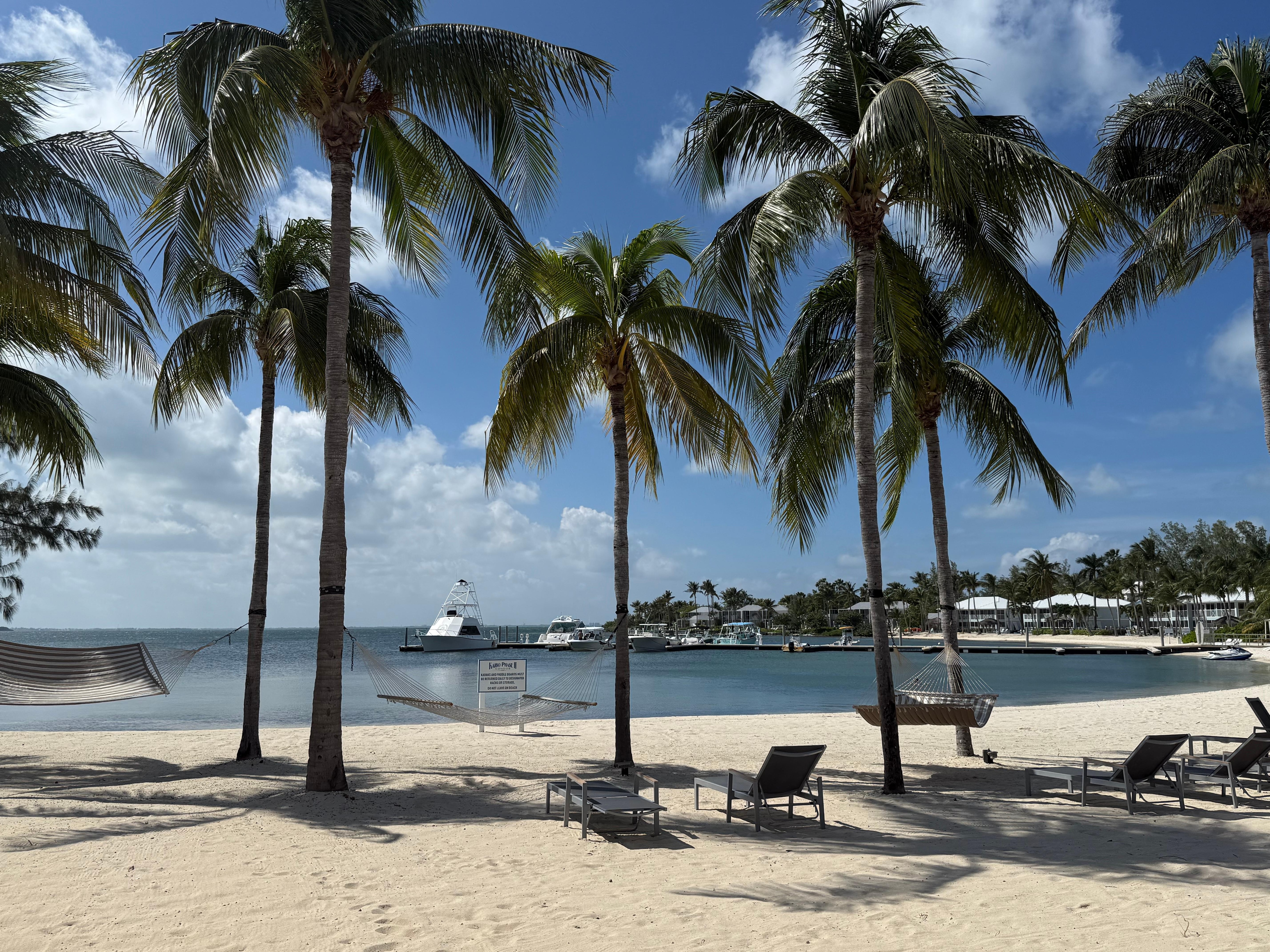Beach front with hammocks