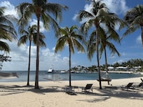 Beach front with hammocks