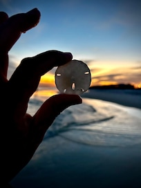 Ended up finding 2 sand dollars