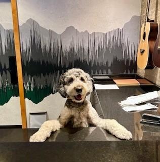 Alti CUTEST Front Desk Attendant EVER! 