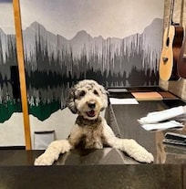 Alti CUTEST Front Desk Attendant EVER!