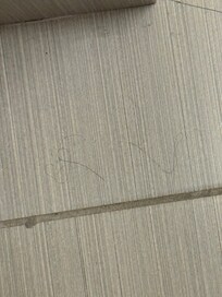 Hair on the floor
