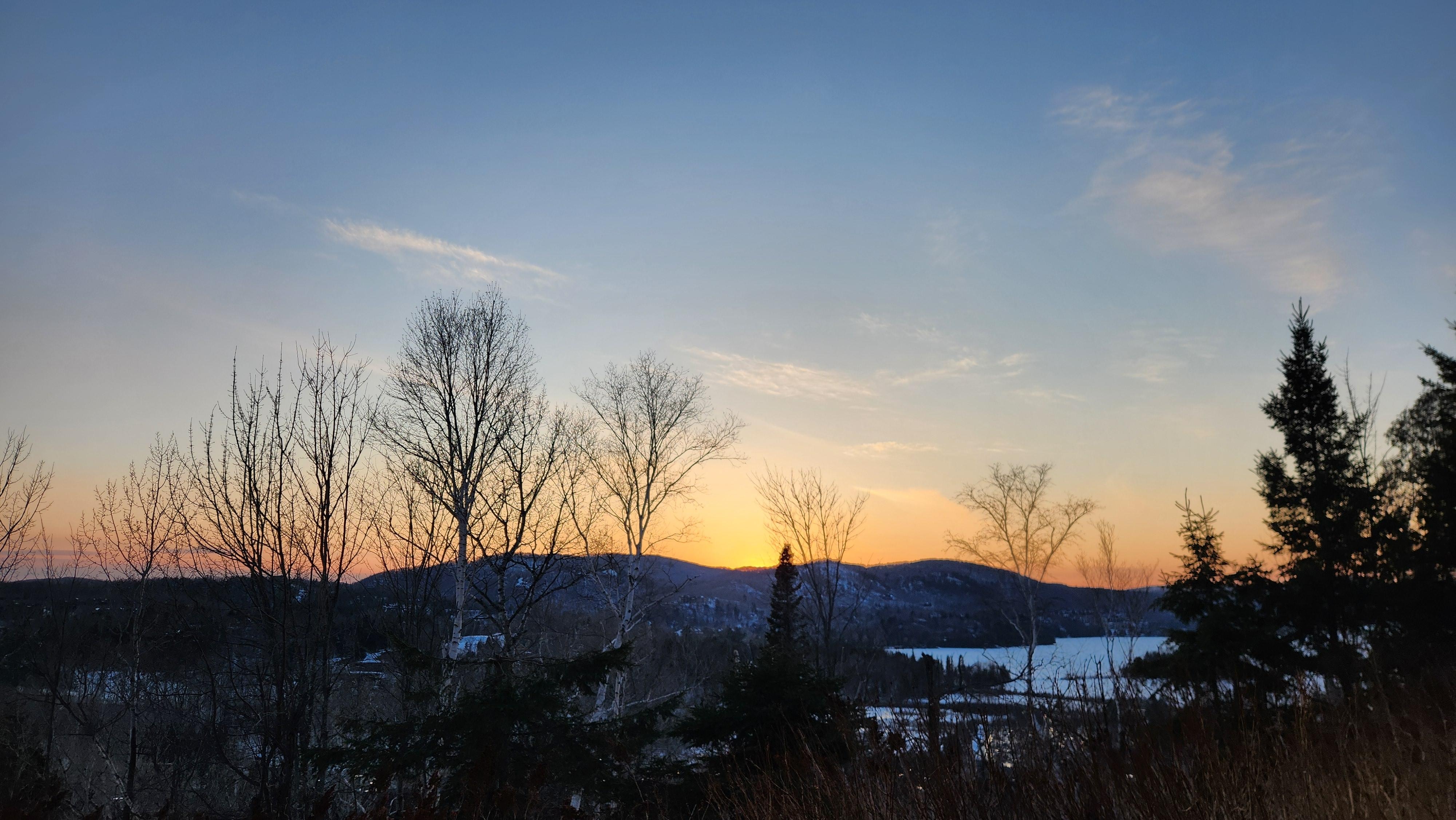 View from back porch