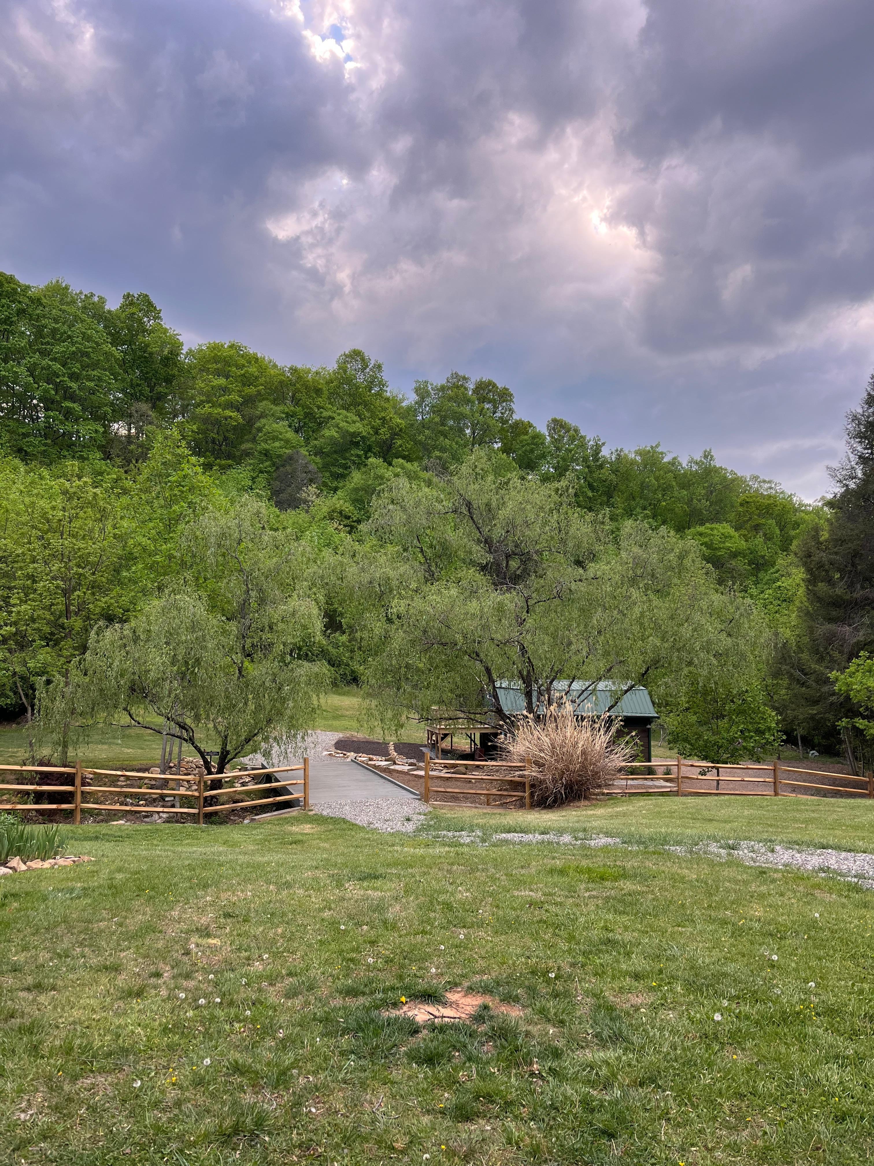 Looking off the porch toward the hiking trail and creek that are part of the property
