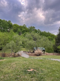 Looking off the porch toward the hiking trail and creek that are part of the property