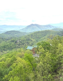 View from the back porch off of the dining/living room