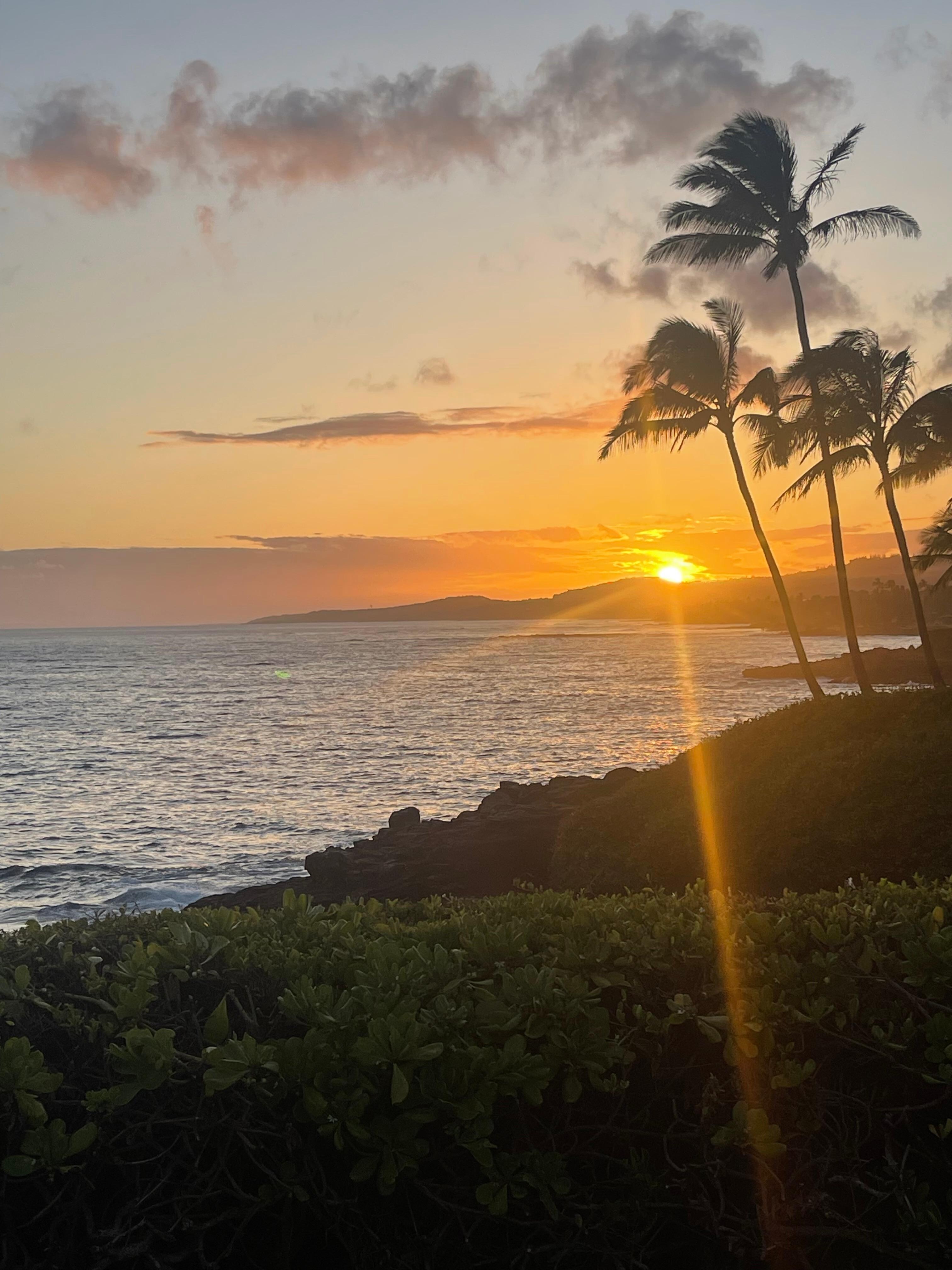 View of sunset at the corner of the property.