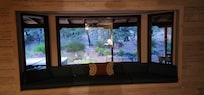 The backyard from the living room