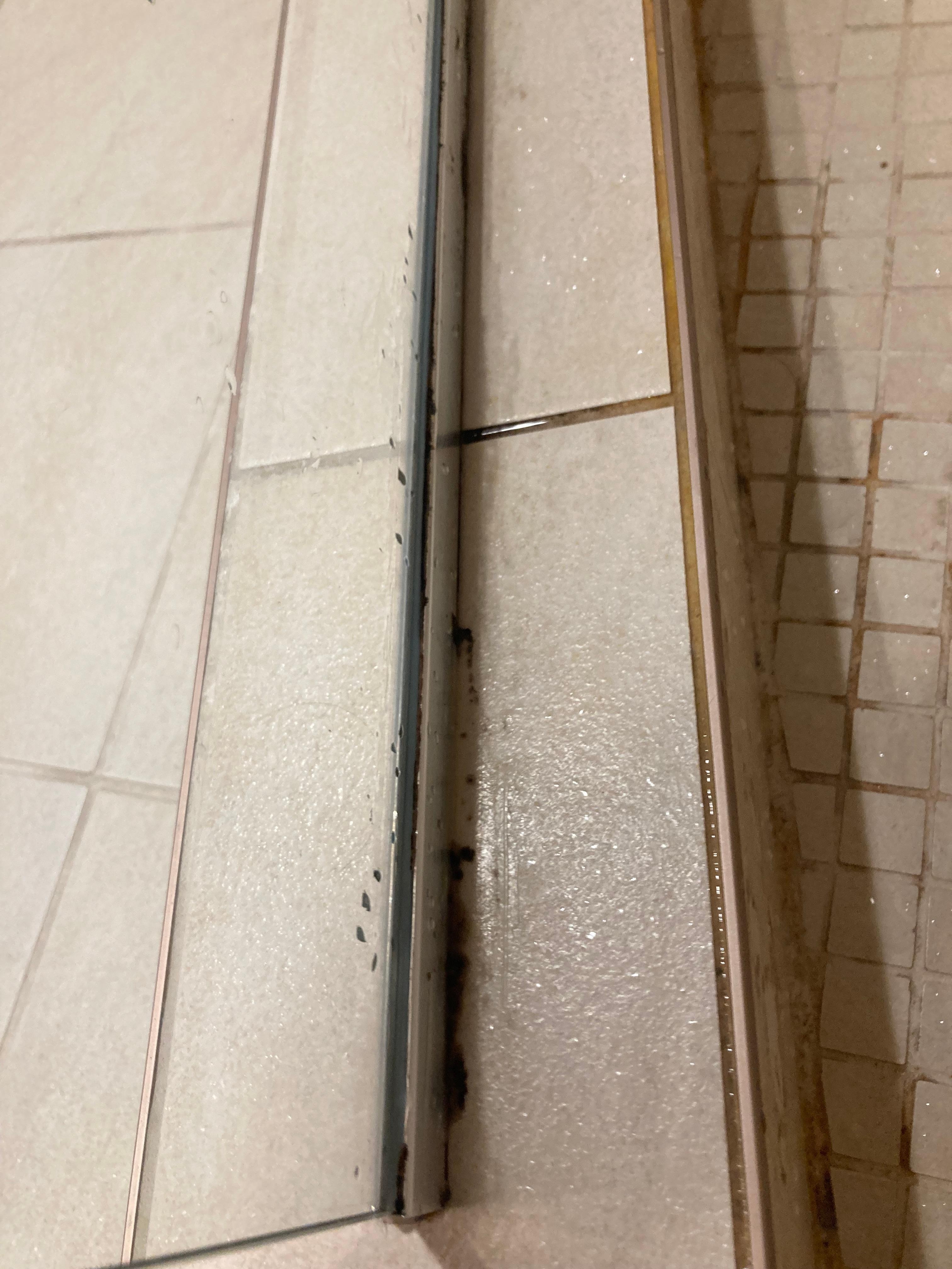 Mold in the shower