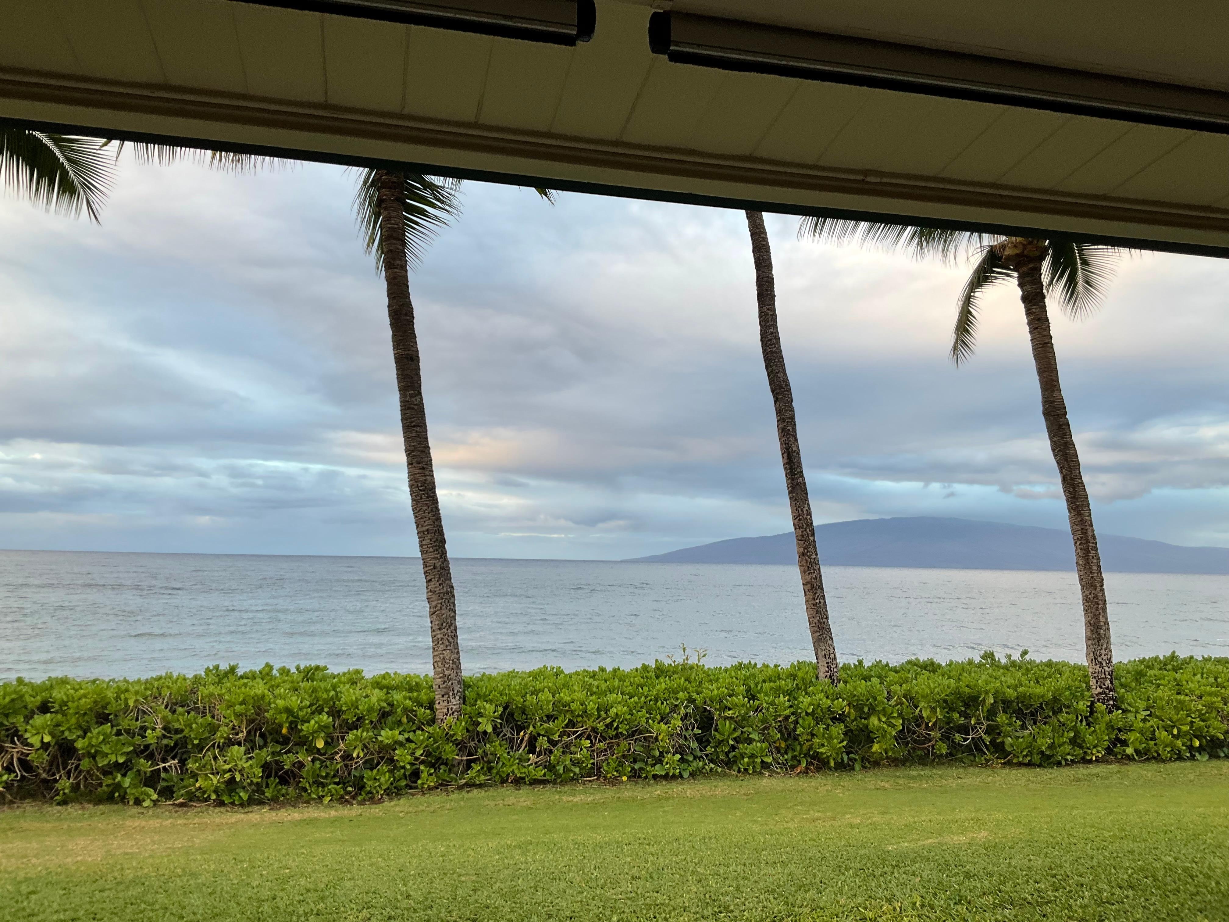 Back lanai 
